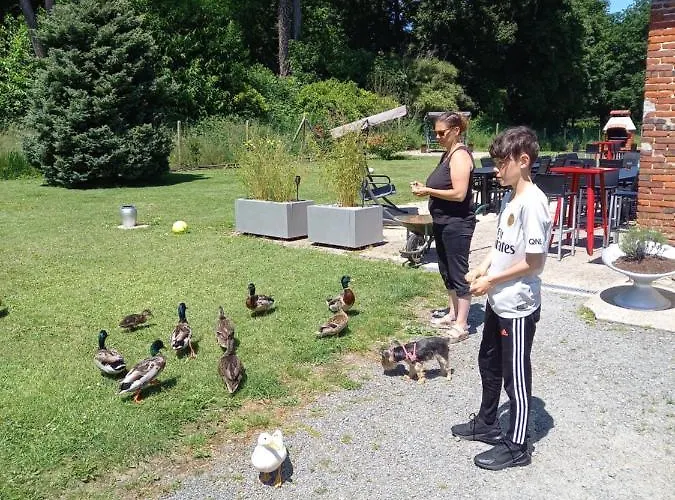 Et D'etretat 埃特勒塔