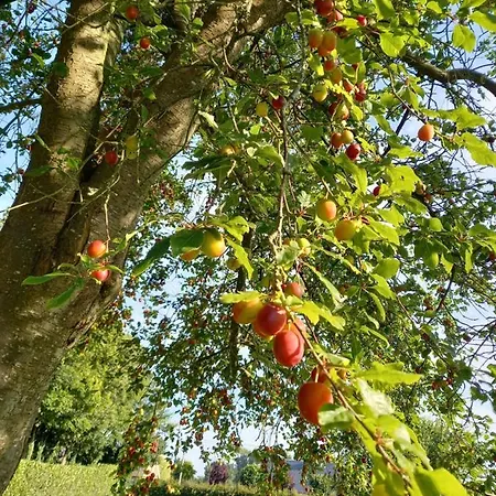 Et D'etretat 4* אטרטאט