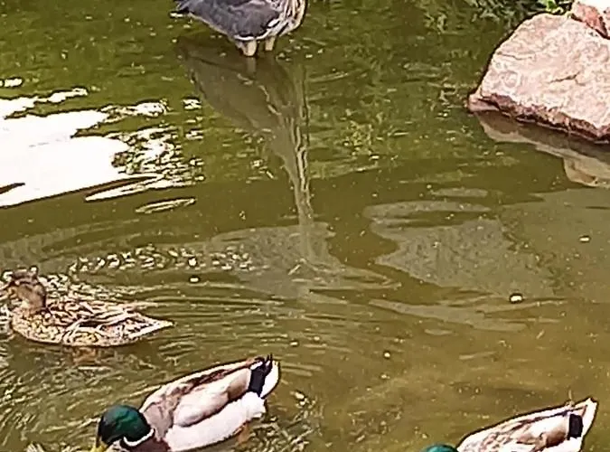 Bed & Breakfast Et D'etretat Étretat